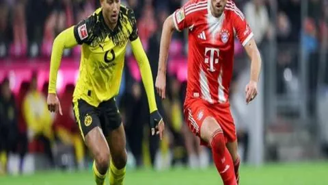 森林新帅领航，能否斩破白玫瑰之堡的坚盾？