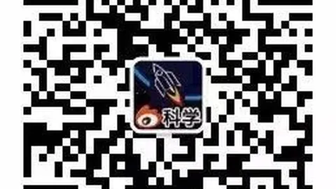 申花力挽狂澜，重，新葡京app，返榜首，米内罗英勇头球破门